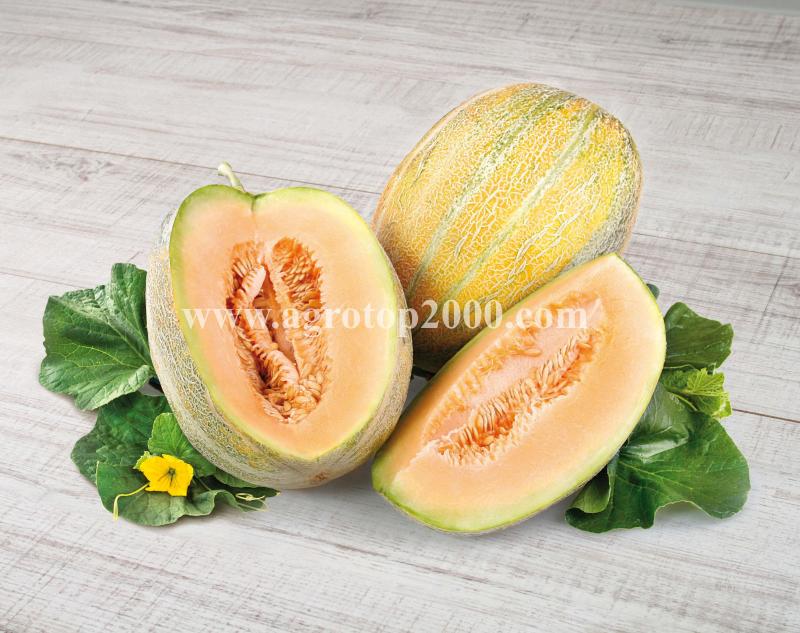 Пъпеш Перла (7030)